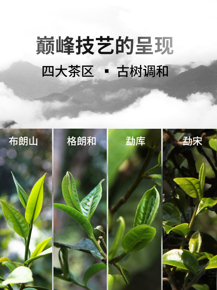 2022年(生)“梁园”普洱茶饼400克