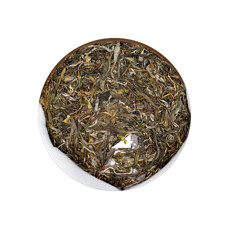 2024 (Raw) 白藤花林Baitenhualin puerh tea cake (200g)