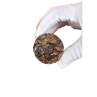 2024 (Raw) 龍翎生 Dragon Plume Pu’er Tea 150g (6g × 25)